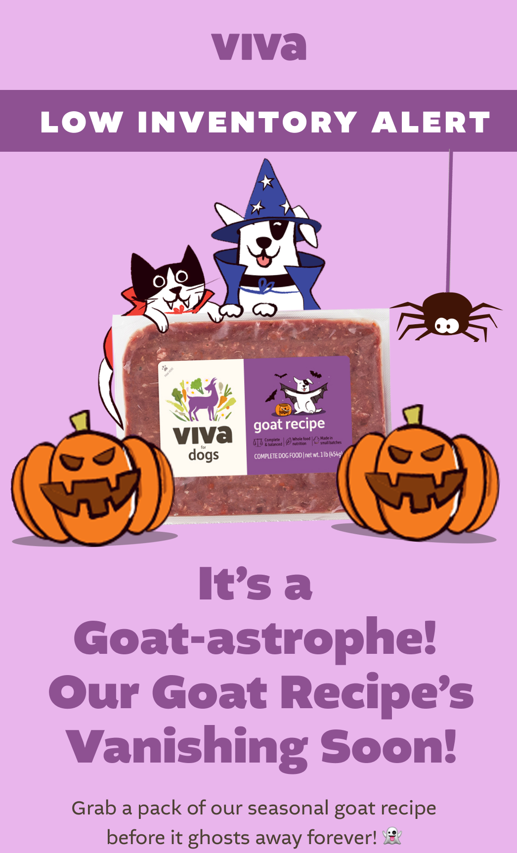 NEW SEASONAL RECIPE GOAT