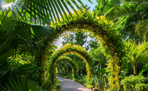 Archways Orchid Botanical Garden Singapore