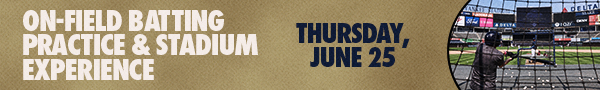 On-Field Batting Practice & Stadium Experience: Thursday, June 25