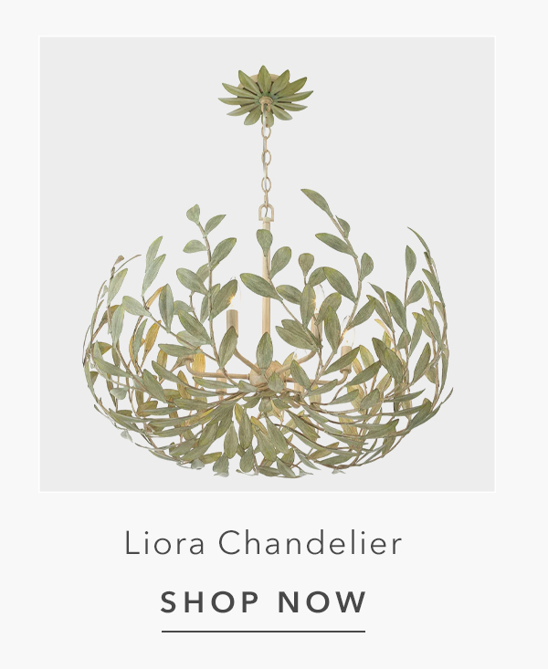 Shop Liora Chandelier