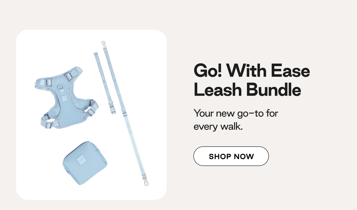 Shop Go! With Ease Leash Bundle 