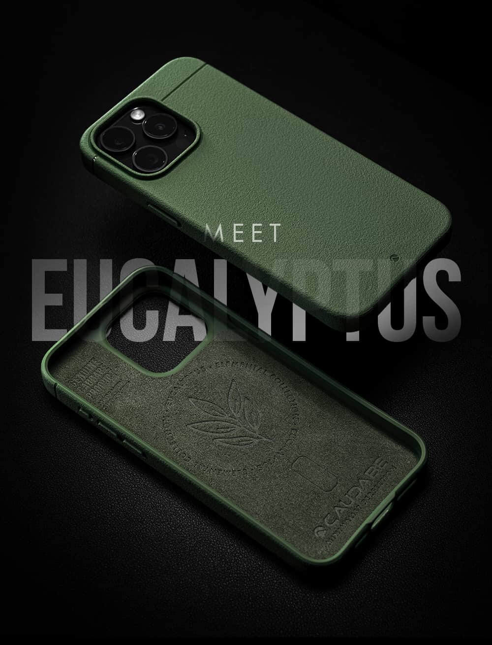 Meet Eucalyptus