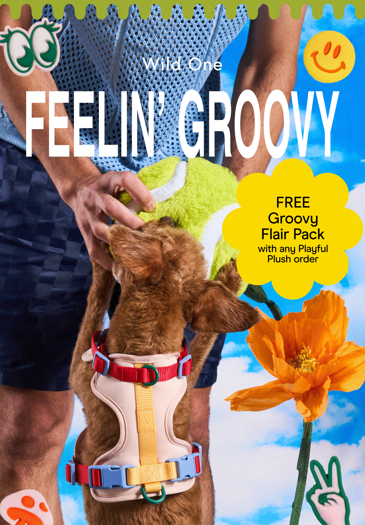 FREE Groovy Flair Pack with any Playful Plush order