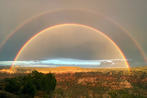 Rainbow at Best Friends Animal Sanctuary