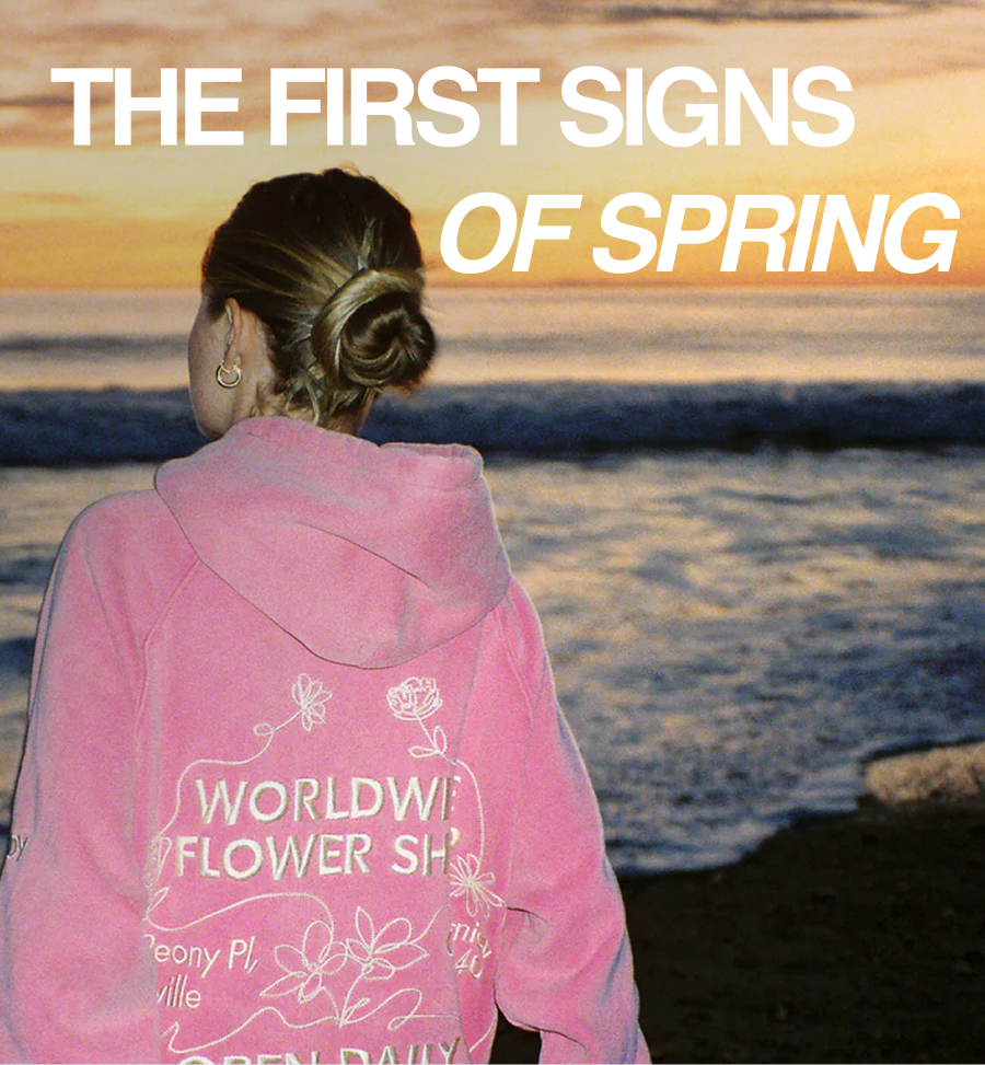 The First Signs Of Spring