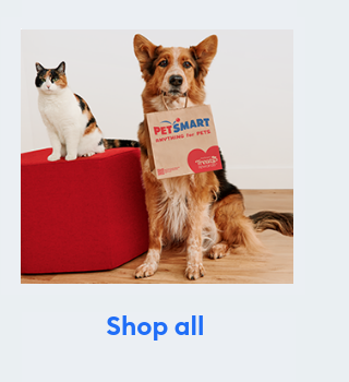 Display images to show real-time content