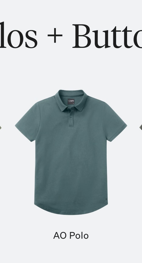 AO Polo
