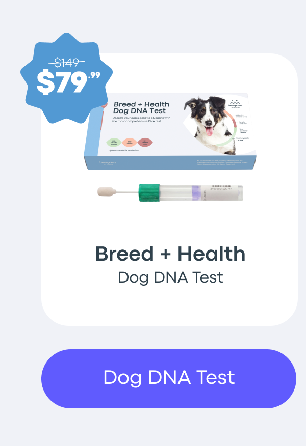 Dog DNA Test