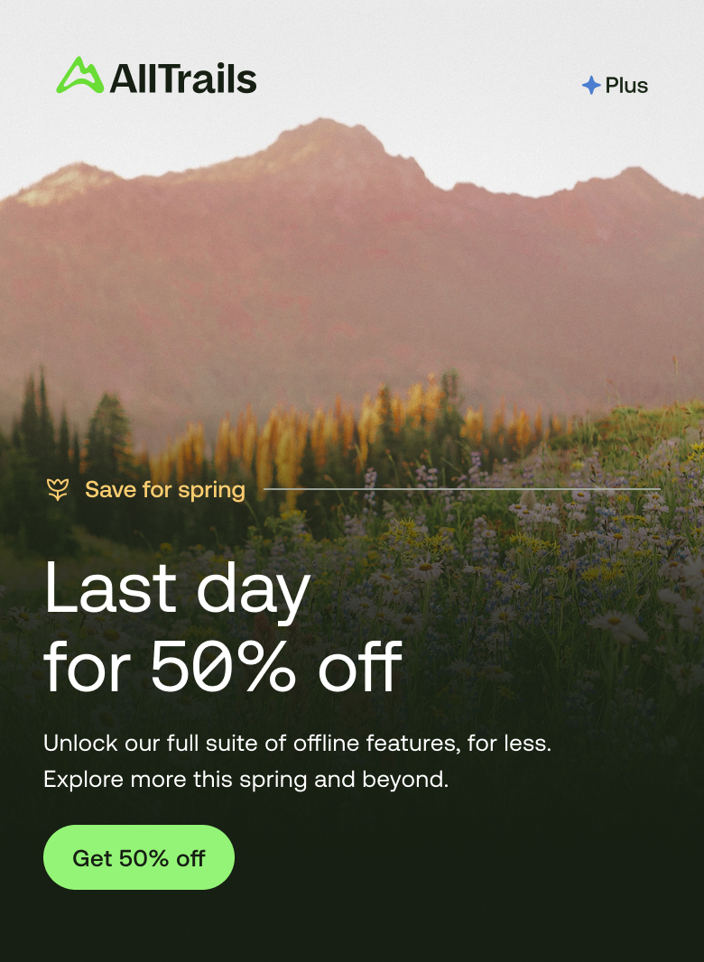 Hello, Spring. Last day for 50% off. Unlock our full suite of offline features, for less. Explore more this spring and beyond.