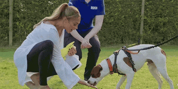 GIF video of Alesha Dixon feeding Roy, a dog rescued and rehabilitated by the RSPCA