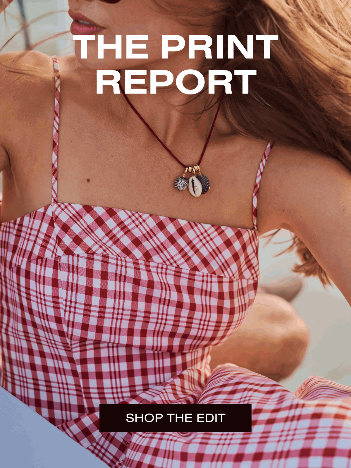 THE PRINT REPORT