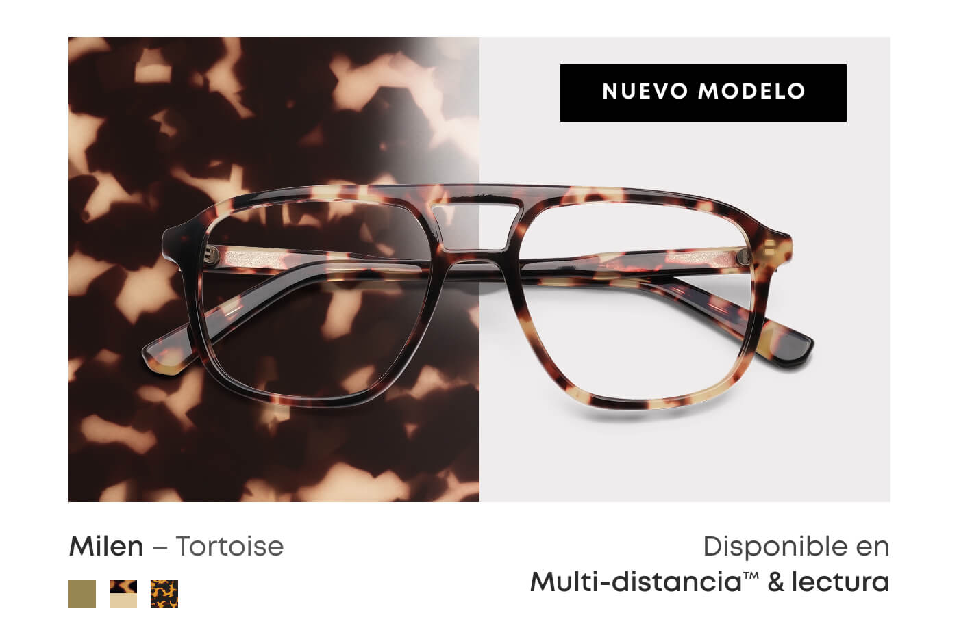 Milen Tortoise