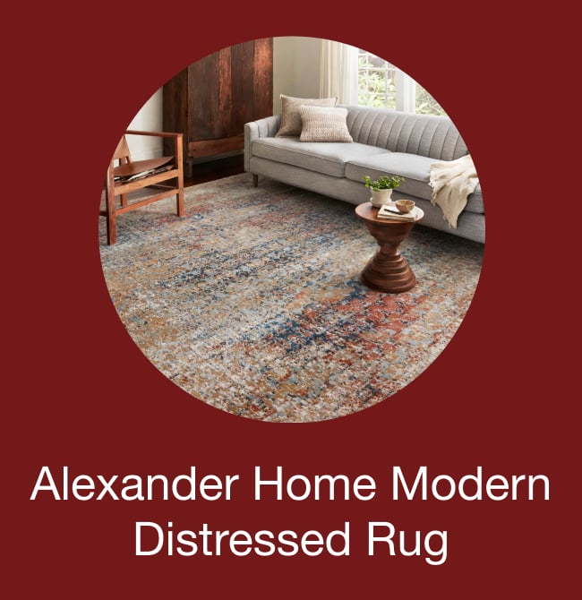 Alexander Home Charlotte Modern Distressed Area Rug