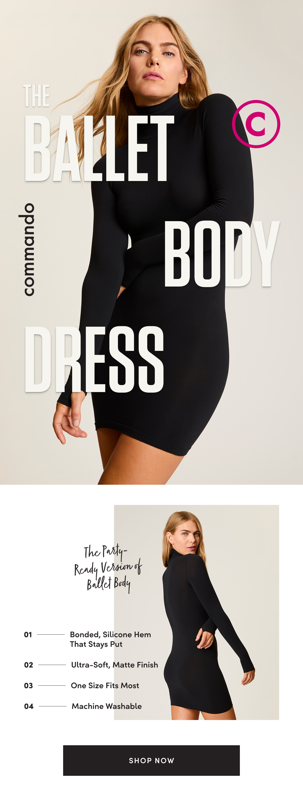 The Ballet Body Dress