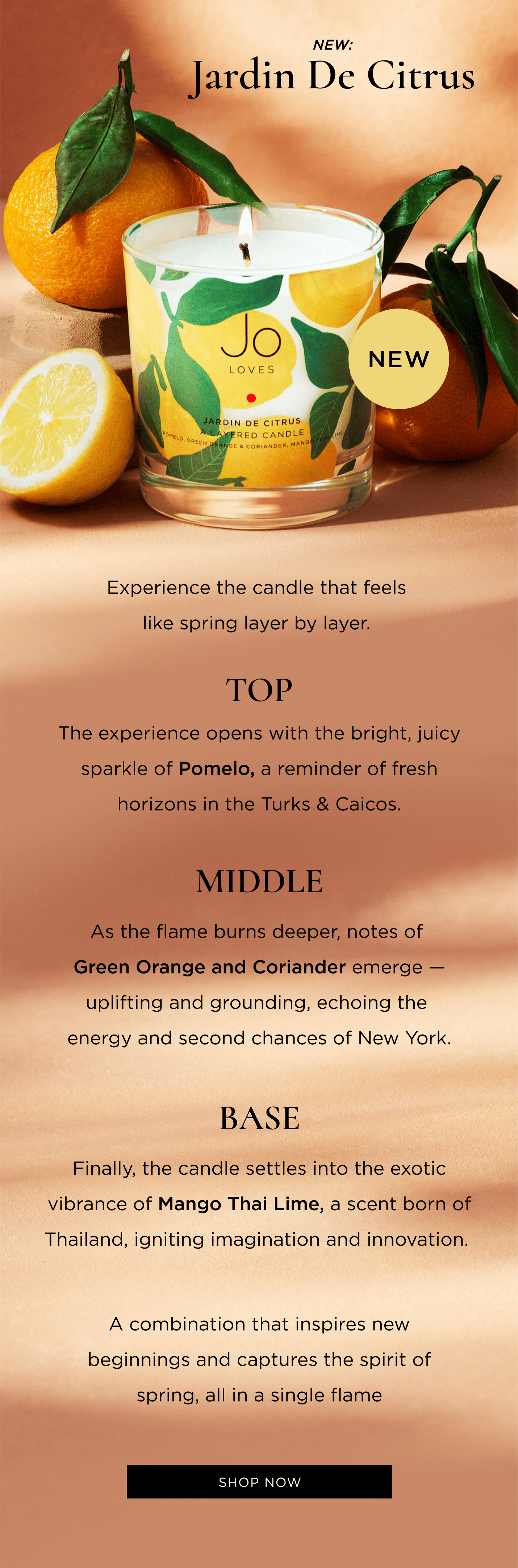 Zesty, refreshing, and brimming with hope and renewal. Experience the candle that feels like spring layer by layer.  Top The experience opens with the bright, juicy sparkle of Pomelo, a reminder of fresh horizons in the Turks & Caicos. Middle As the flame burns deeper, notes of Green Orange and Coriander emerge—uplifting and grounding, echoing the energy and second chances of New York. Base Finally, the candle settles into the exotic vibrance of Mango Thai Lime, a scent born of Thailand, igniting imagination and innovation.  A combination that inspires new beginnings and captures the spirit of spring, all in a single flame
