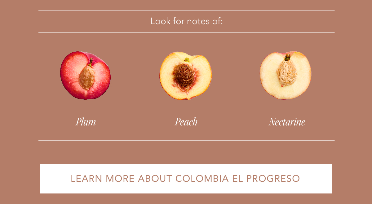 Look for notes of: Plum, Peach, Nectarine | LEARN MORE ABOUT EL PROGRESO
