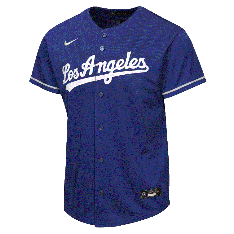 Image of Nike Youth Los Angeles Dodgers Alternative Baseline Jersey-Royal