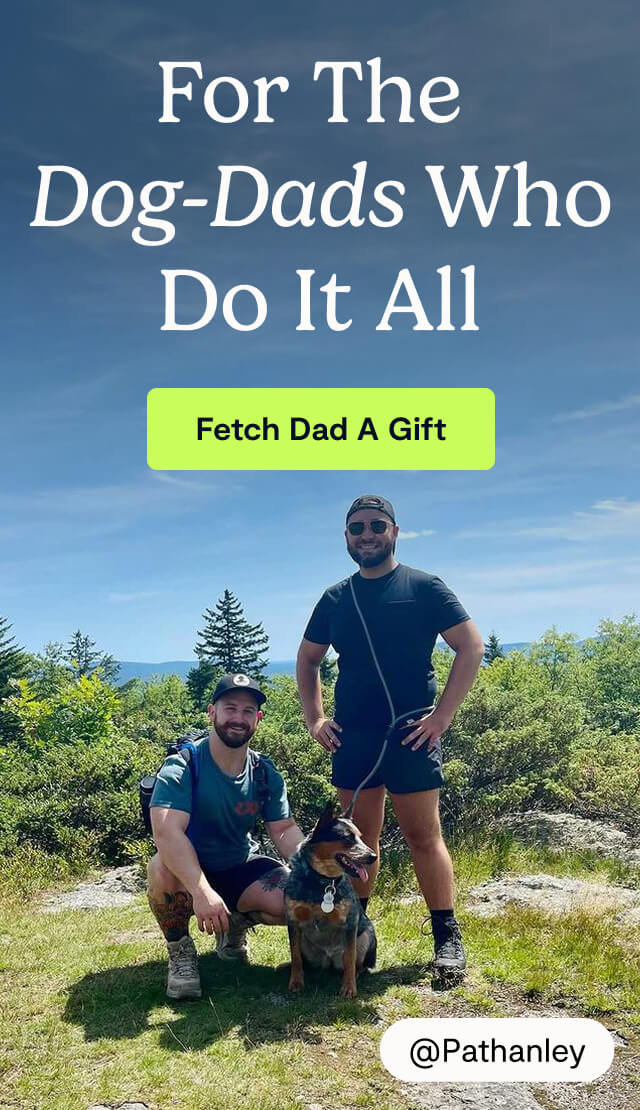 For The Dog-Dads Who Do It All