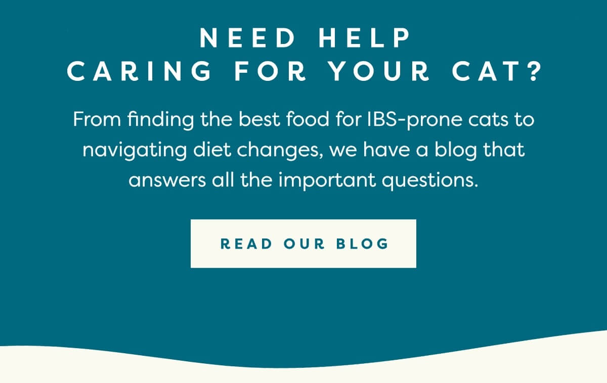 Read our blog