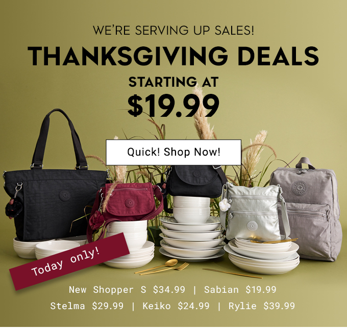 Thanksgiving Deals