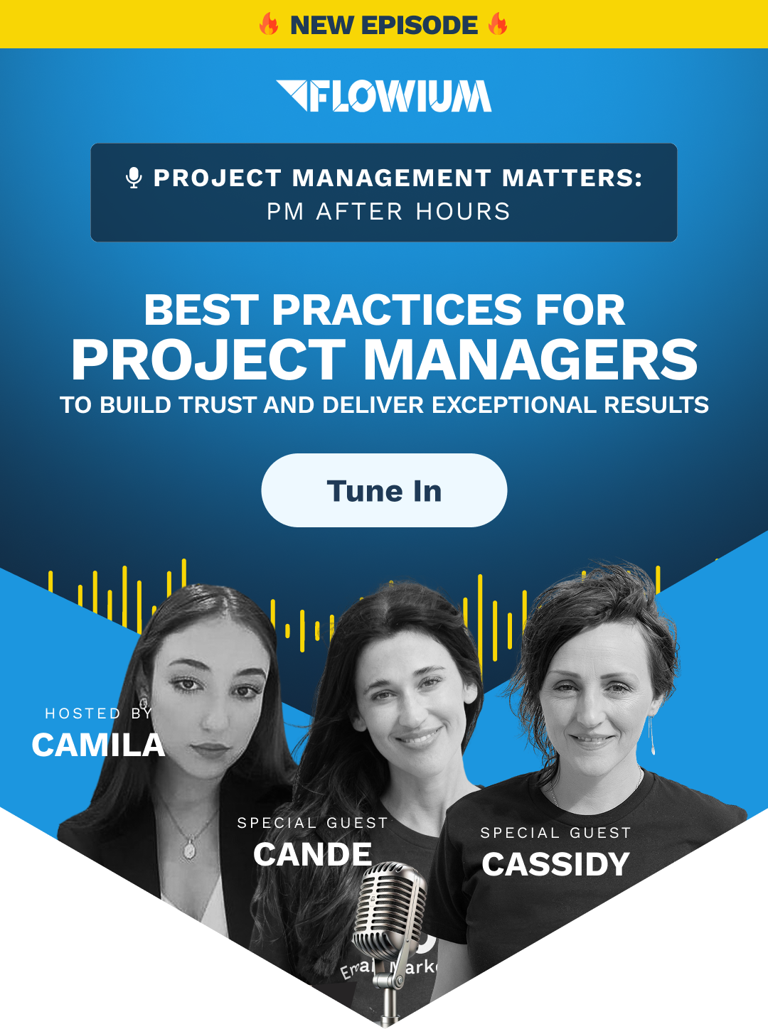 New Podcast Alert! Project Management Matters is Here 🎙️
