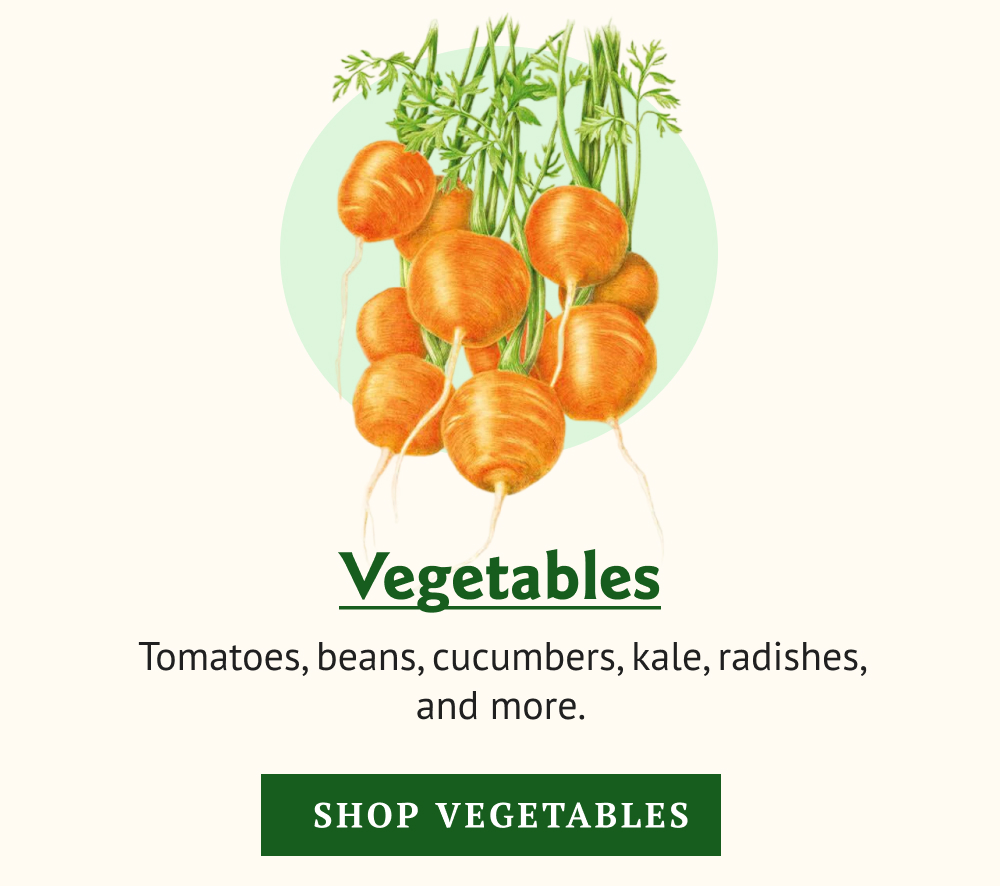 Tomatoes, beans, cucumbers, kale, radishes, and more. All on sale while supplies last.