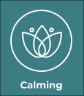 Calming Box