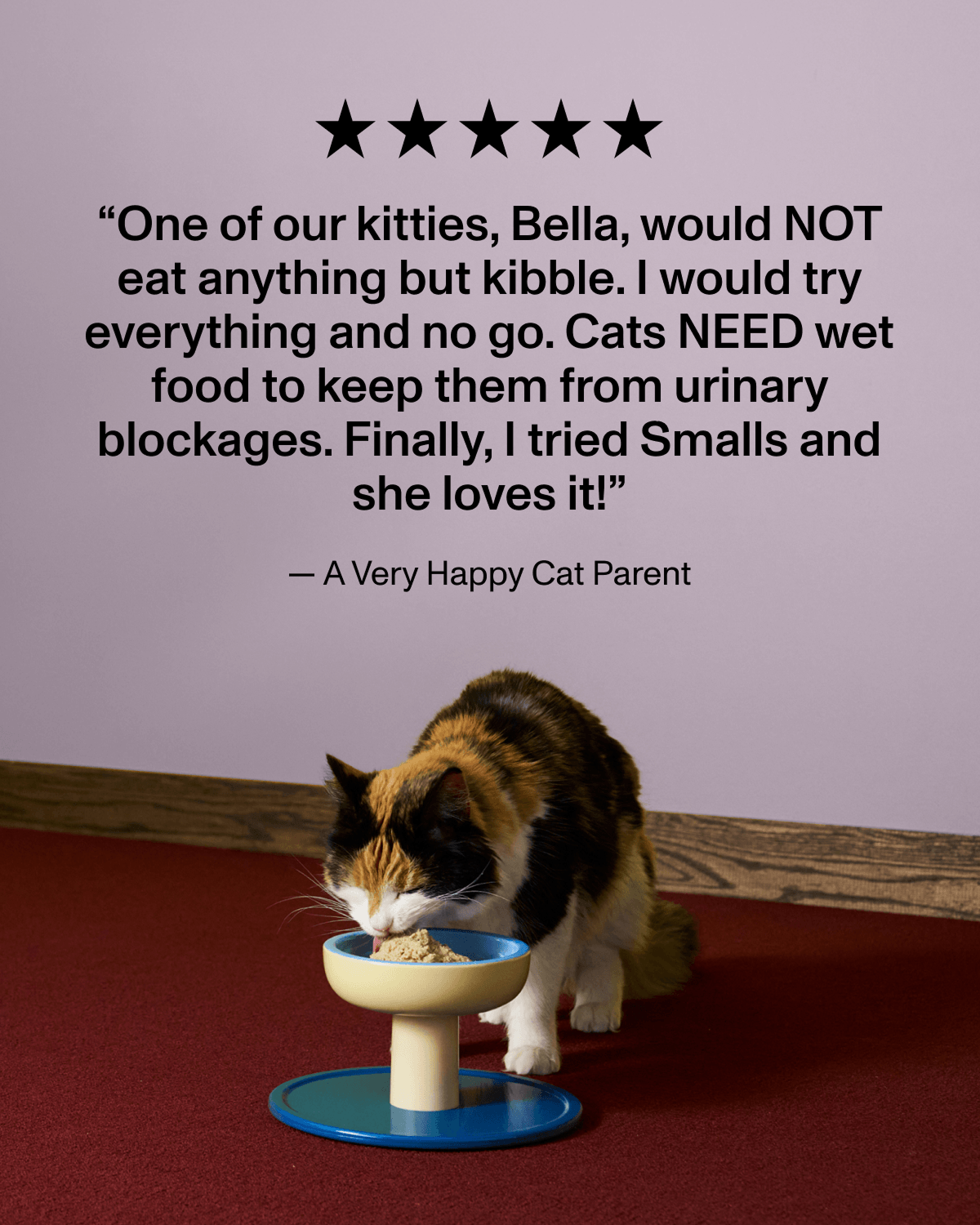 Five stars. Customer review: One of our kitties, Bella, would NOT eat anything but kibble. I would try everything and no go. Cats NEED wet food to keep them from urinary blockages. Finally, I tried Smalls and she loves it! — A Very Happy Cat Parent. Below, a calico cat eats from a raised blue and yellow bowl.