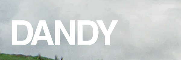 Dandy