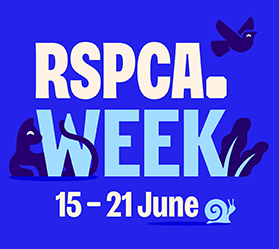 Blue and white graphic logo with text that reads 'RSPCA Week 15-21 June'