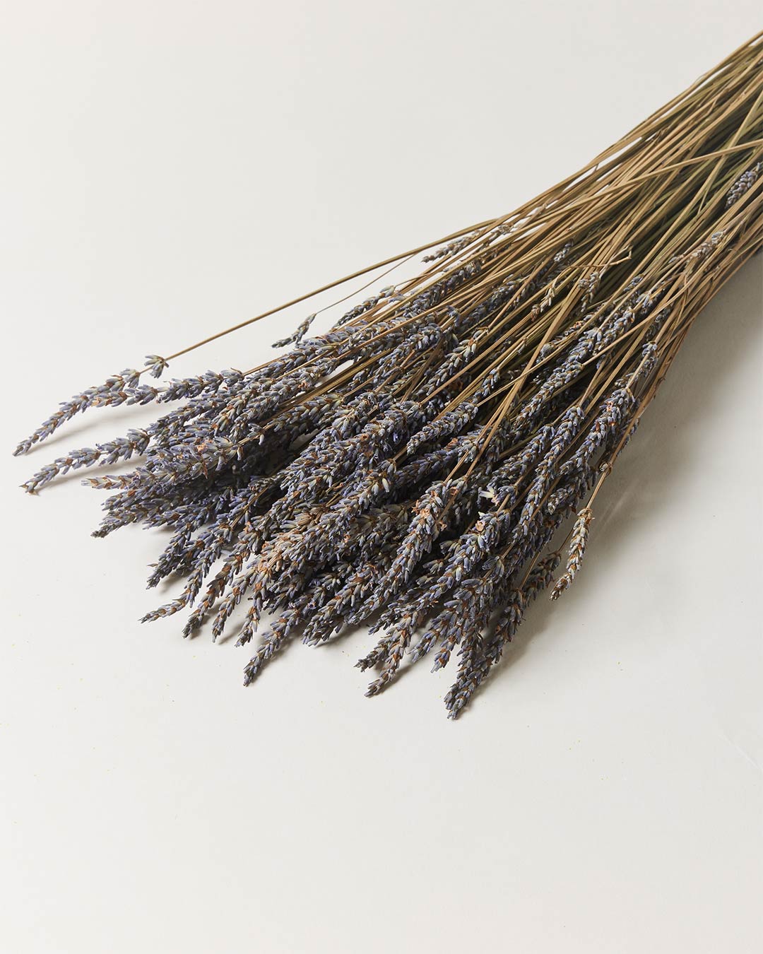 Harvested Lavender