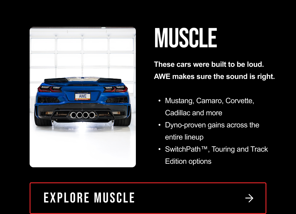 MUSCLE