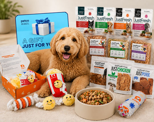 JustFoodForDogs and DOGTV Giveaway