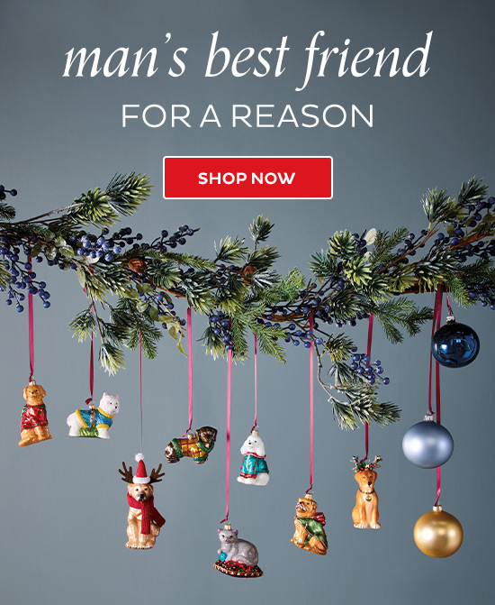 Man’s best friend for a reason - Shop Now