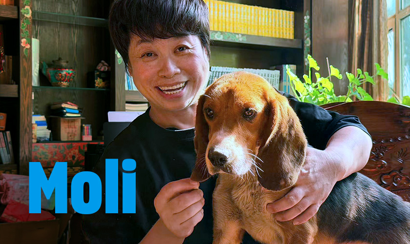 A smiling person holds a beagle indoors. Text in image: 