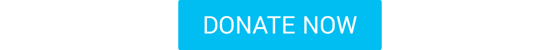 DONATE NOW CTA