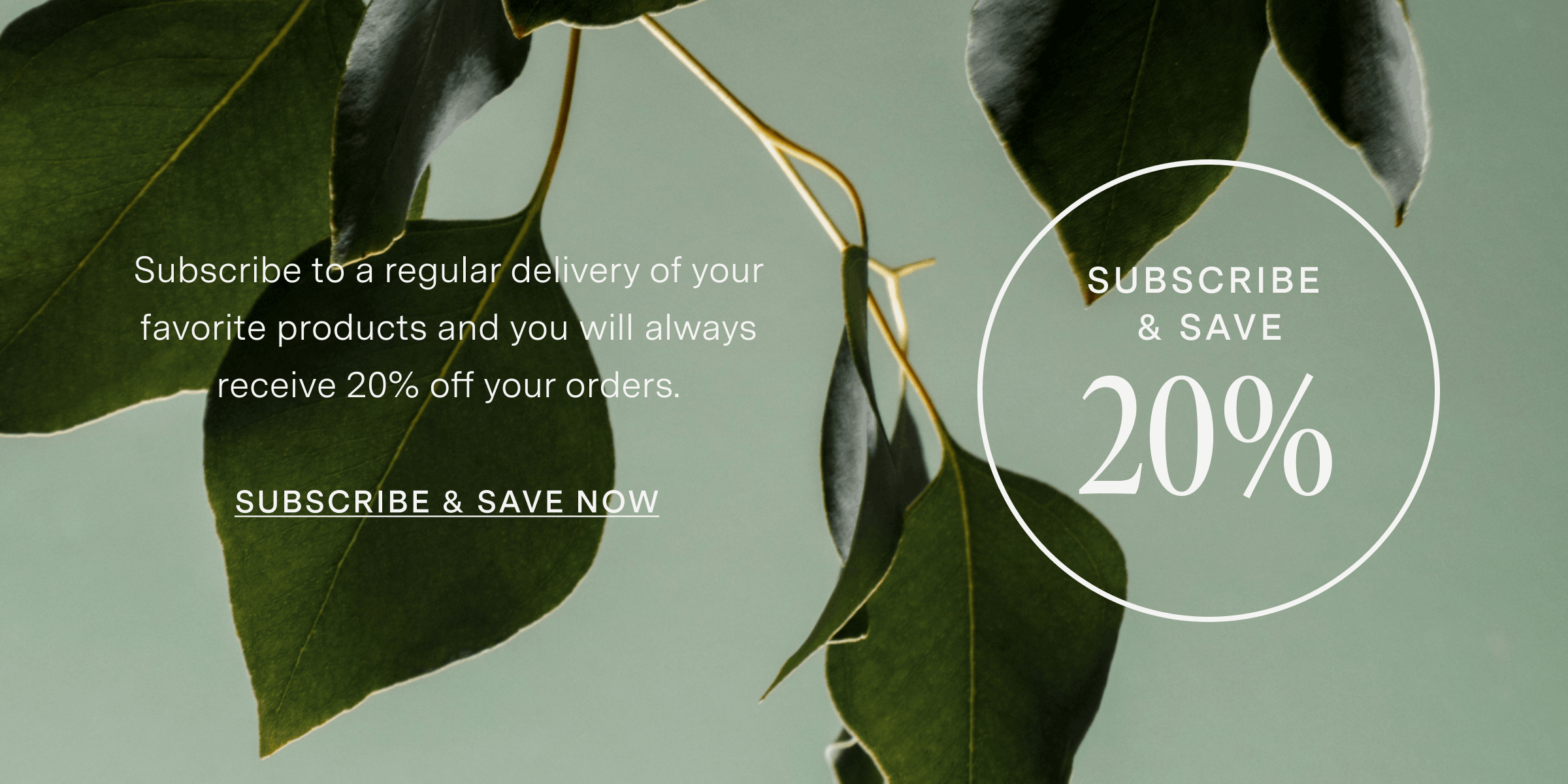 SUBSCRIBE & SAVE 20%
