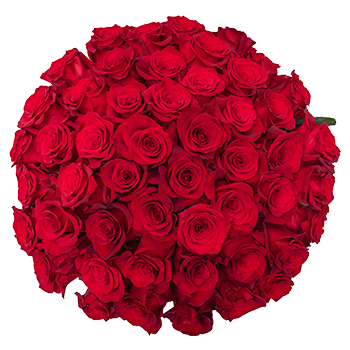 Pre-order Valentine's Day Red Roses Fresh Cut Floral, 50-Stems