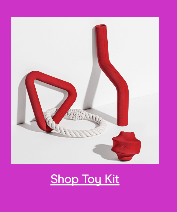 Toy Kit