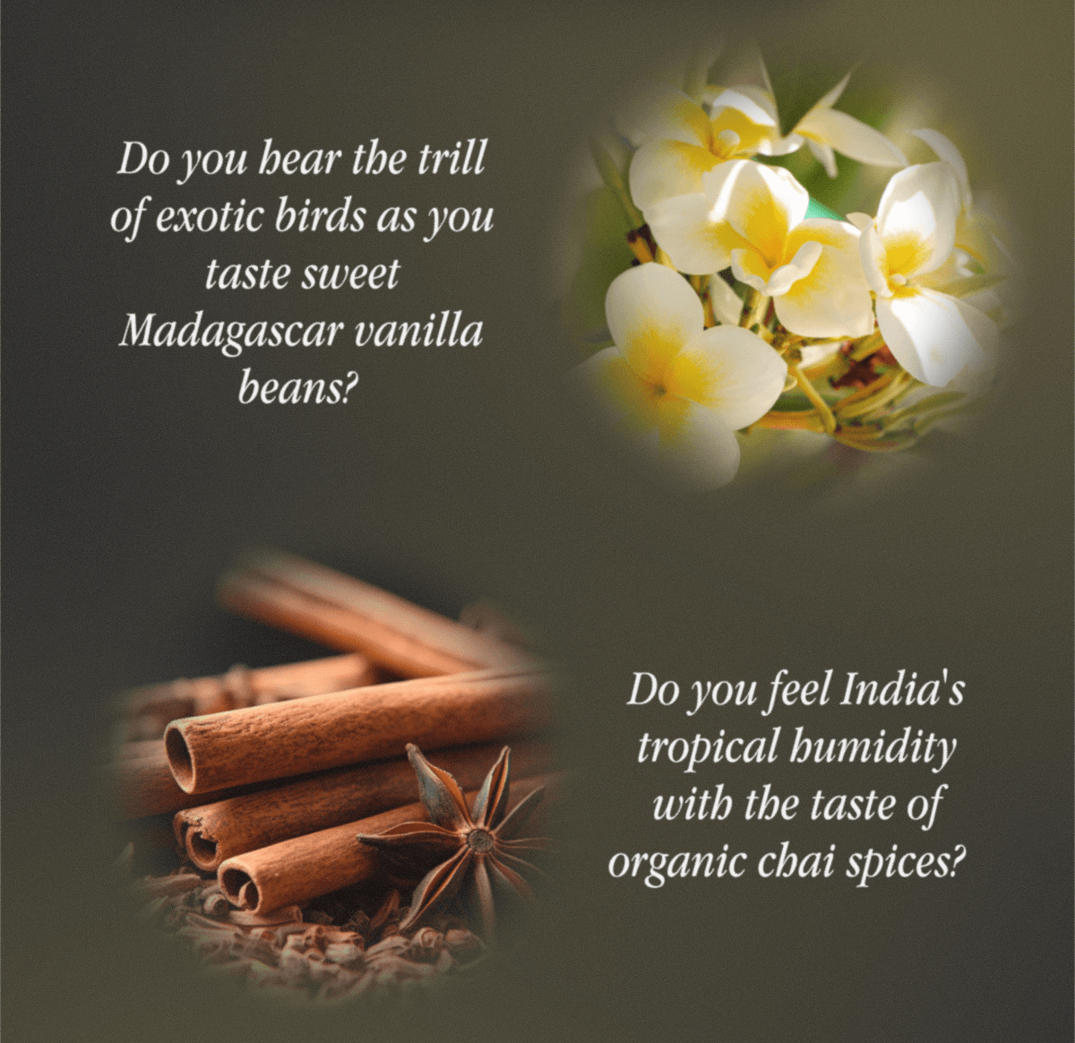 Do you hear the trill of exotic birds as you taste sweet Madagascar vanilla beans? | Do you feel India's tropical humidity with the taste of organic chai spices?