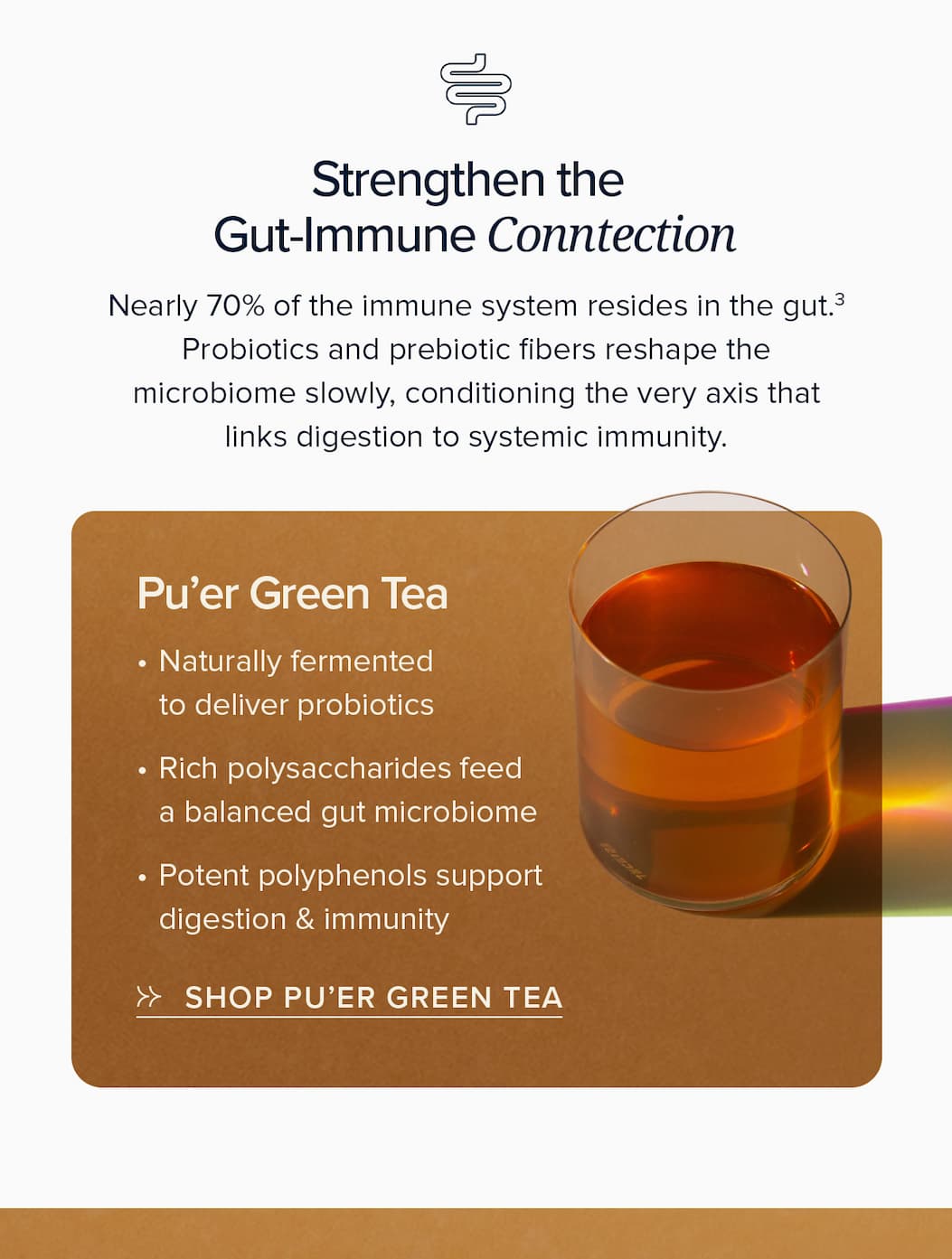 Pu'er Green Tea
