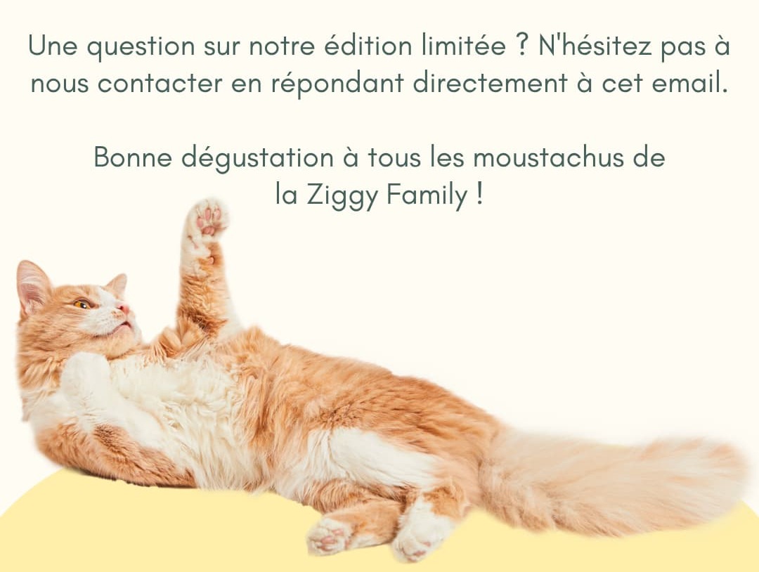 Ziggy