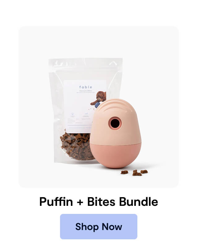 Puffin + Bites Bundle