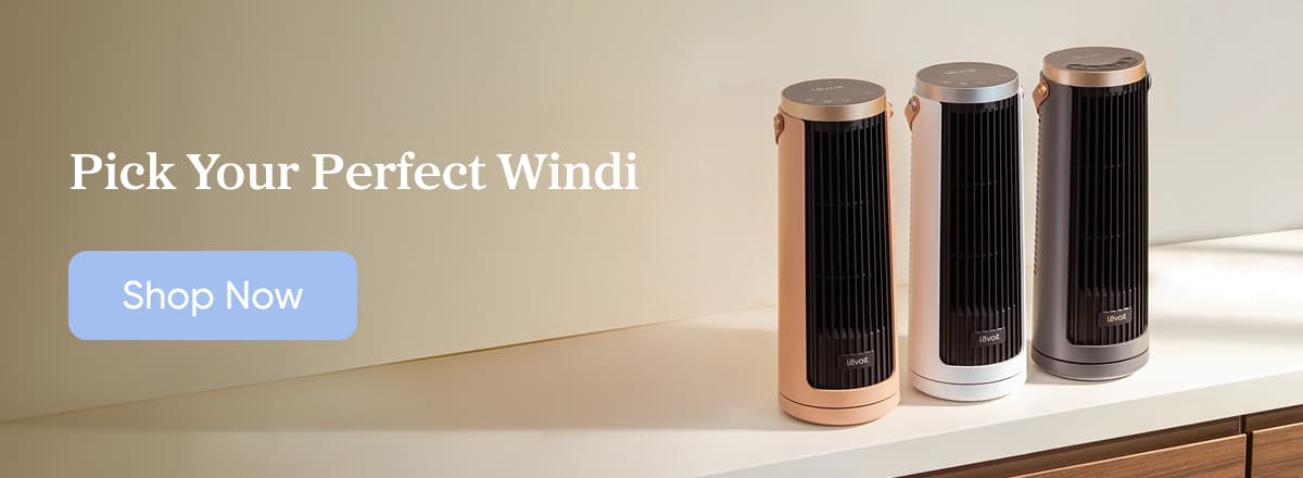 Pick Your Perfect Windi