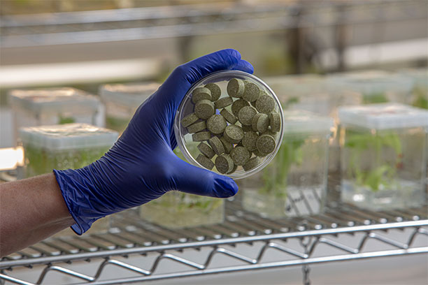 A bioengineered bean gum from the lab of Penn Dental’s Henry Daniell.