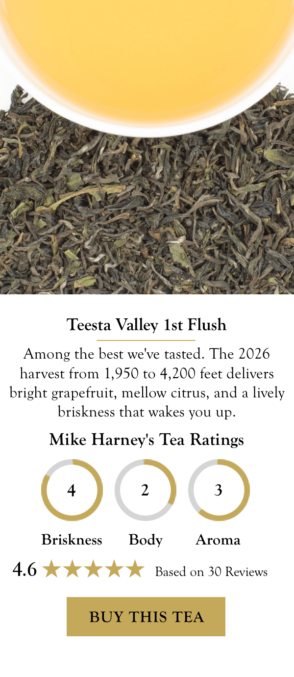 Teesta Valley 1st Flush
