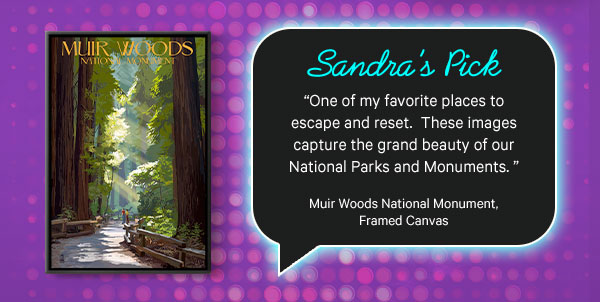 Sandra’s Pick: Muir Woods National Monument Framed Canvas - “One of my favorite places to escape and reset.  These images capture the grand beauty of our National Parks and Monuments" 