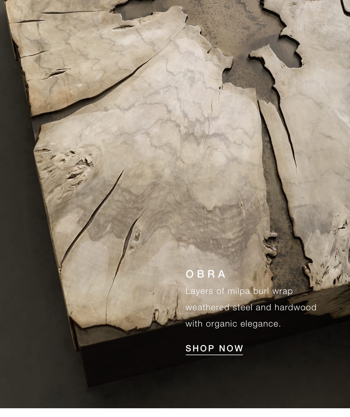 Shop Obra