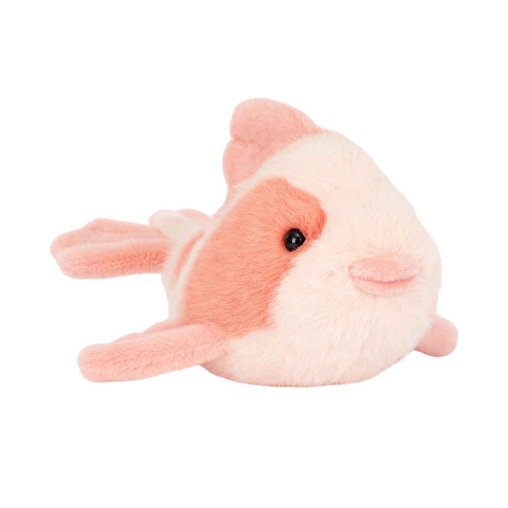 Image of Fancy Carp