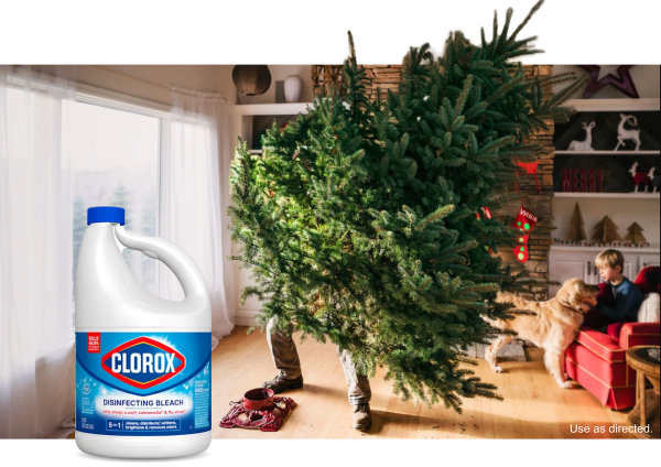 Keep your tree fresher longer